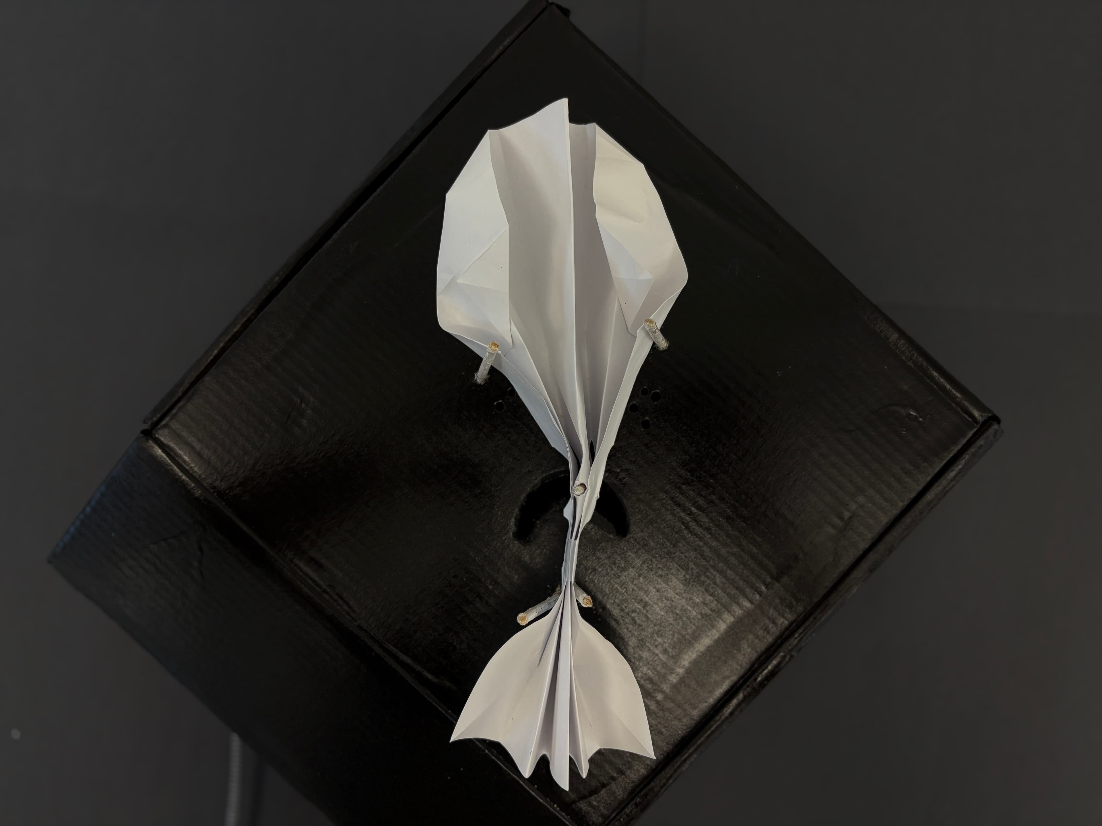 Koi Origami