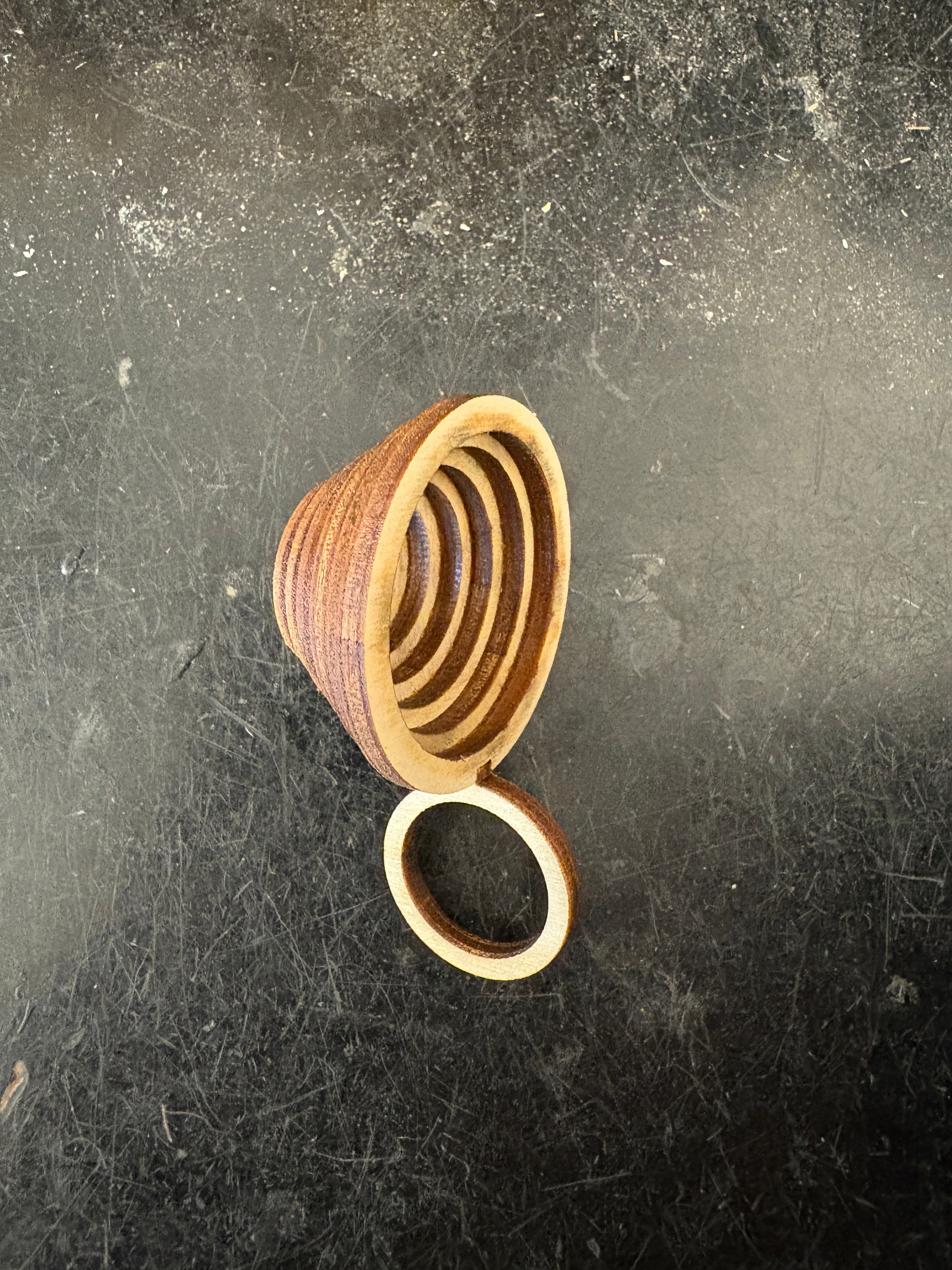 Focus Ring
